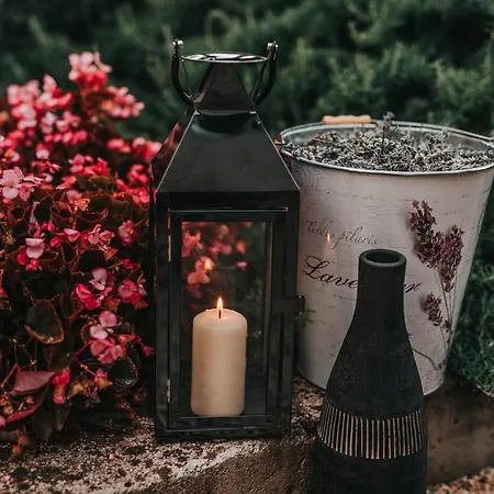 欧亨尼娅别墅酒店 酒店 4*